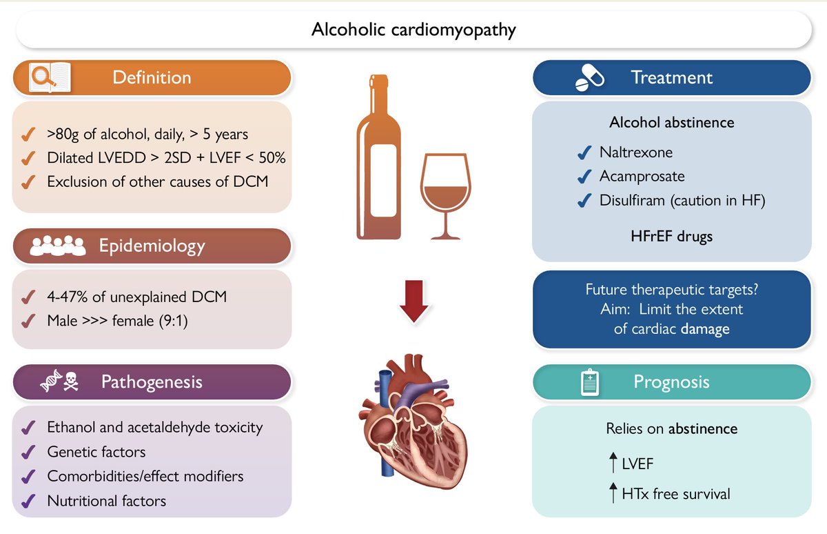 gonzaeperez's tweet photo. MIOCARDIOPATÍA ALCOHOLICA
🔴>80gr/d por 5 años 
🔴Miocardiopatía dilatada
🔴Exclusión otras causas

🔴Patogénesis: toxicidad por etanol y acetaldeído, factores genéticos y nutricionales
🔴Tratamiento: abstinencia de consumo

Revisión @ESC_Journals 

https://t.co/yUDxjSGn7J https://t.co/xYhMD578TC