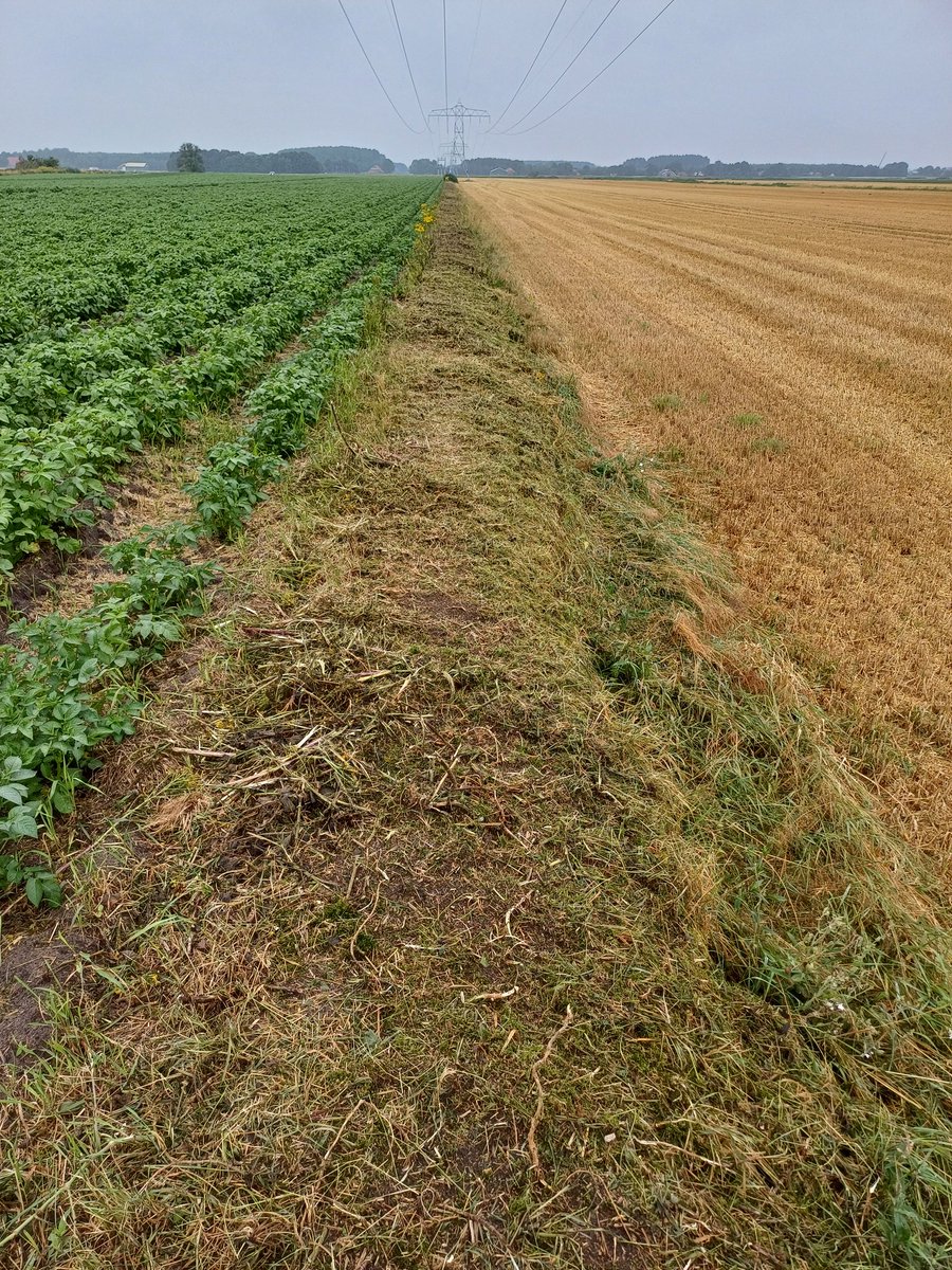 PHMulder1's tweet photo. @Mantingerveld Steilrand, #bufferstrook, tegelijk ook even #taluds en ecologisch beheerde (gemeente) #berm geklepeld (verhakseld)...'De boel even netjes maken'.
Tja, nog lange weg te gaan met bijdragen aan 'natuurinclusief' boeren.
Ik ken de bezwaren tegen #ruigte, maar dit moet anders kunnen. https://t.co/X20I9QIwp2