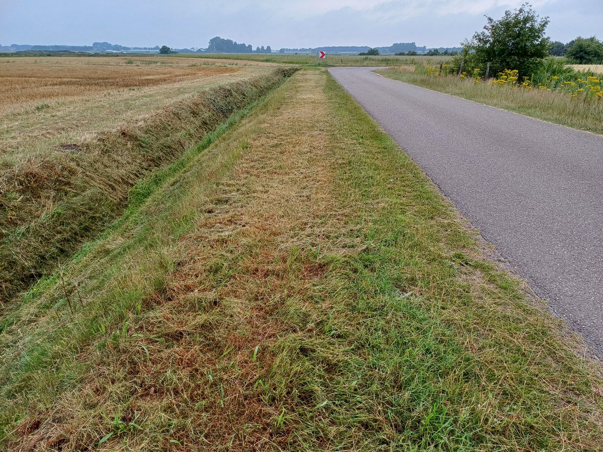 PHMulder1's tweet photo. @Mantingerveld Steilrand, #bufferstrook, tegelijk ook even #taluds en ecologisch beheerde (gemeente) #berm geklepeld (verhakseld)...'De boel even netjes maken'.
Tja, nog lange weg te gaan met bijdragen aan 'natuurinclusief' boeren.
Ik ken de bezwaren tegen #ruigte, maar dit moet anders kunnen. https://t.co/X20I9QIwp2
