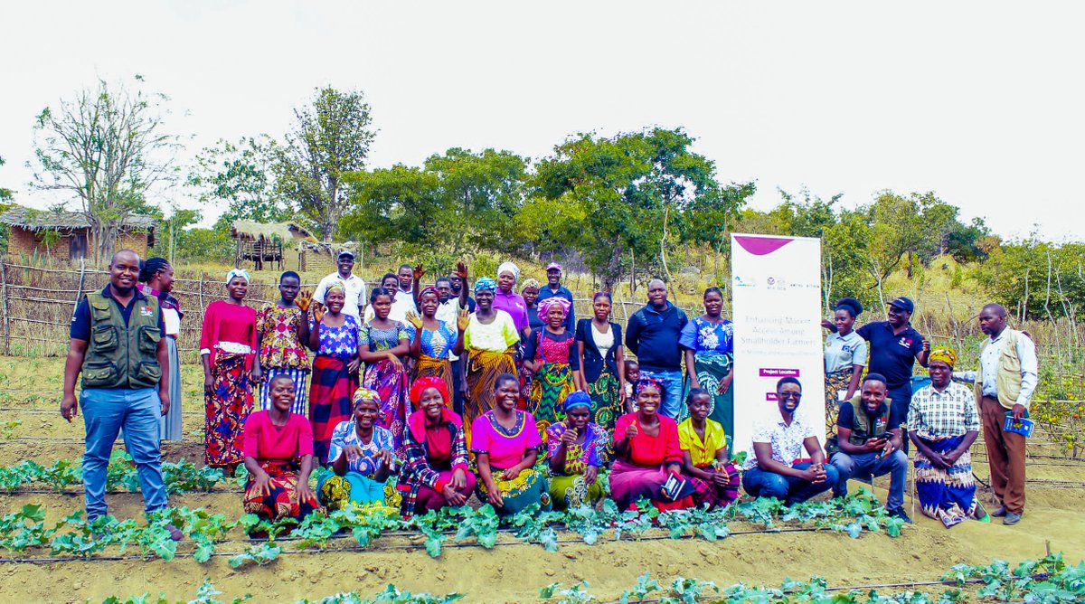 aid_church's tweet photo. Last week, a representative from the Government of Flanders and Malawi government officials visited our project to showcase its success in empowering smallholders in Mzimba and Kasungu. The project ensures stable markets for farmers through private sector involvement. #CSEE https://t.co/oRugYDEGh0