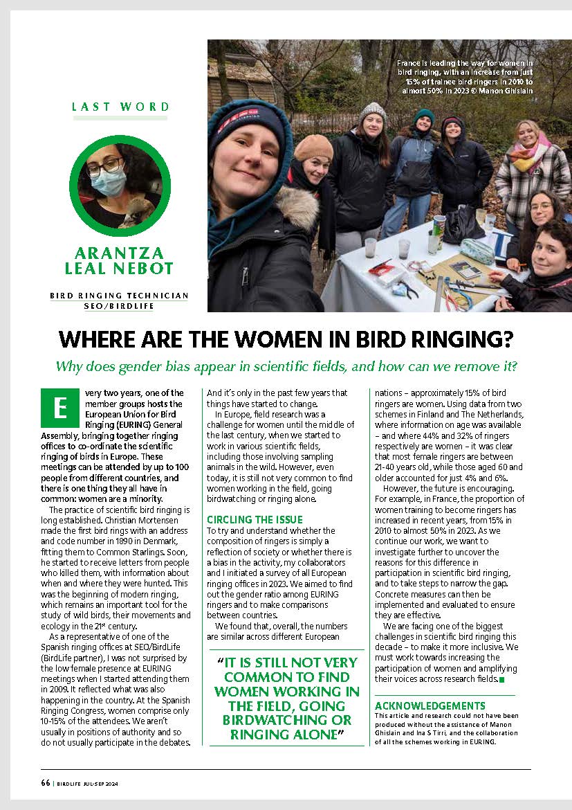 Anillamiento_SEO tweet media