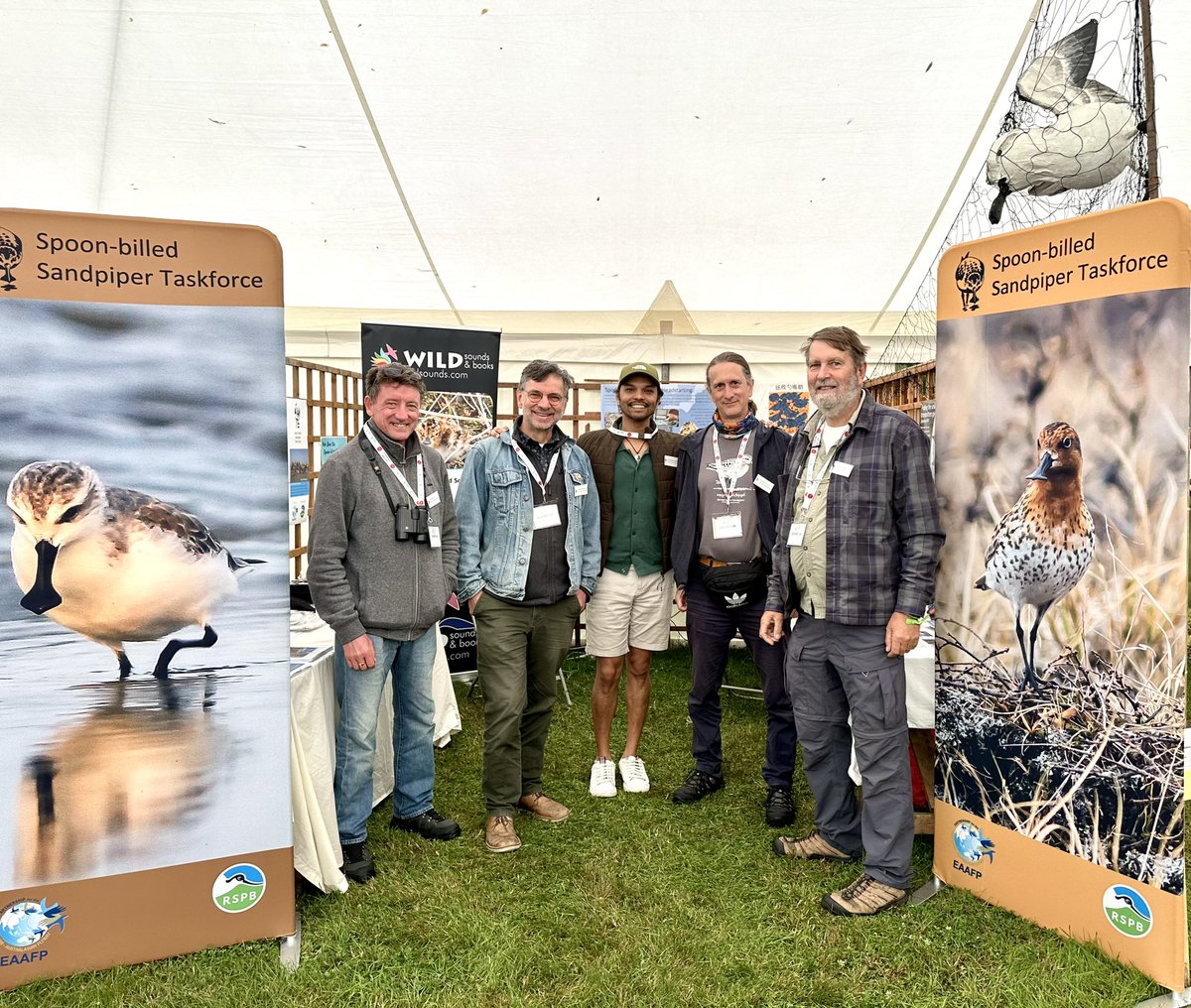 Spoon-billed Sandpiper Task Force (@sbs_tf) on Twitter photo The Spoon-billed Sandpiper Task Force is at the <a href="/GlobalBirdfair/">Global Birdfair</a> today! Come visit and learn about our conversation initiatives across the East Asian Flyway.
Robin Marquee (R17) The Spoon-billed Sandpiper Task Force is at the <a href="/GlobalBirdfair/">Global Birdfair</a> today! Come visit and learn about our conversation initiatives across the East Asian Flyway.
Robin Marquee (R17)