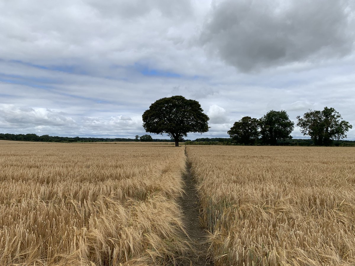 Enjoyed the stillness of St Michael’s, Broome while walking part of the <a href="/ViaBeata/">Via Beata</a>. Great to hear about the impact of the Earsham Benefice team in the communities of this lovely part of south Norfolk.  <a href="/DioceseNorwich/">Diocese of Norwich</a>