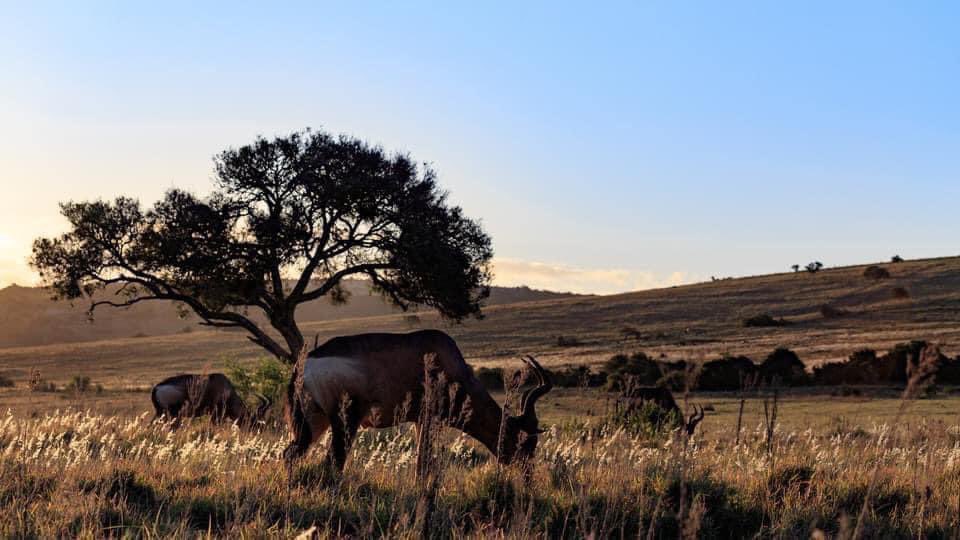 LisaOrme9's tweet photo. SOUTH AFRICA, MAURITIUS &amp; OMAN
🚢 Costa Smeralda | 21st Nov 2024
FROM £1099pp
Your Holiday Includes: 
✈️ Return Flights
🍽️ 30nt Full-Board Cruise - St. Cruz de Tenerife, Walvis Bay, Cape Town, Port Elizabeth (overnight), Port Louis (Mauritius), Muscat, Dubai
 Message for details! https://t.co/PH4BET0NKq