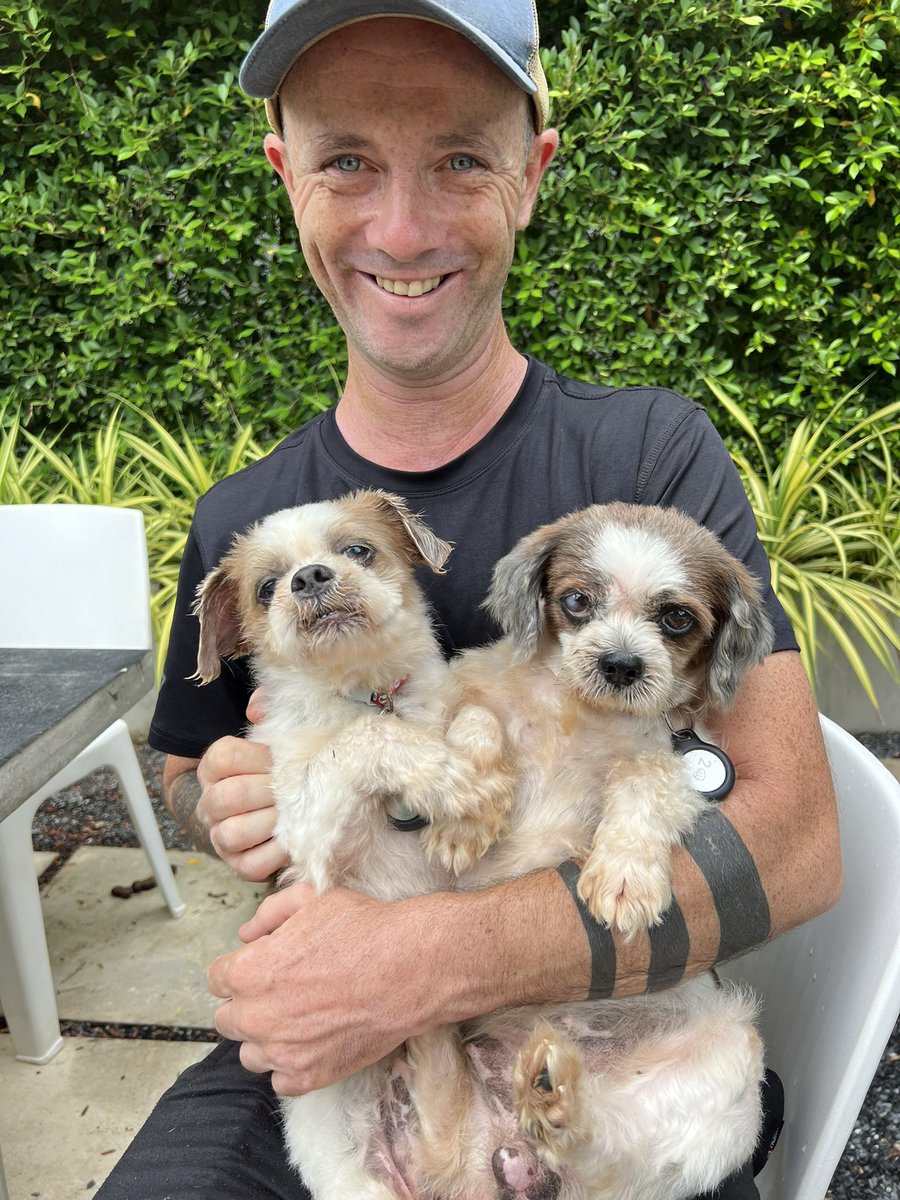 Niall Harbison tweet media