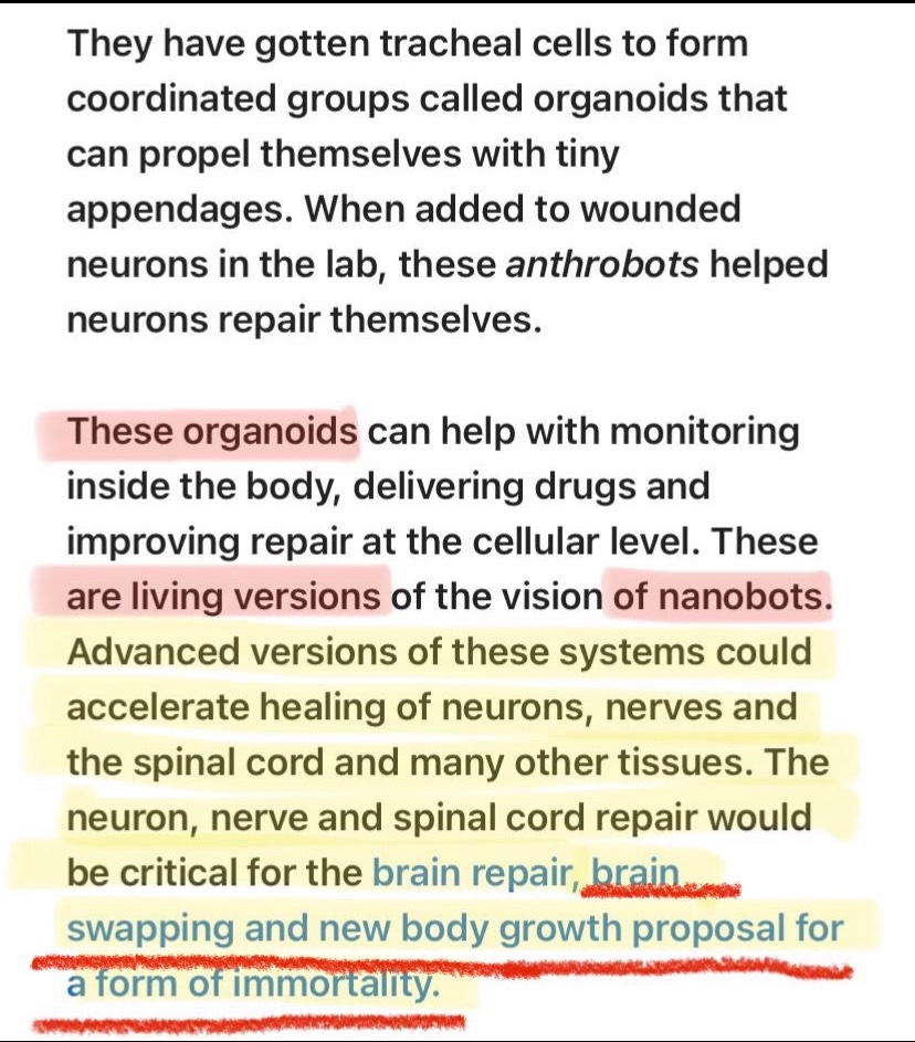 Kwells04Wells's tweet image. #organoids
#livingbiologicalrobots
#anthrobots