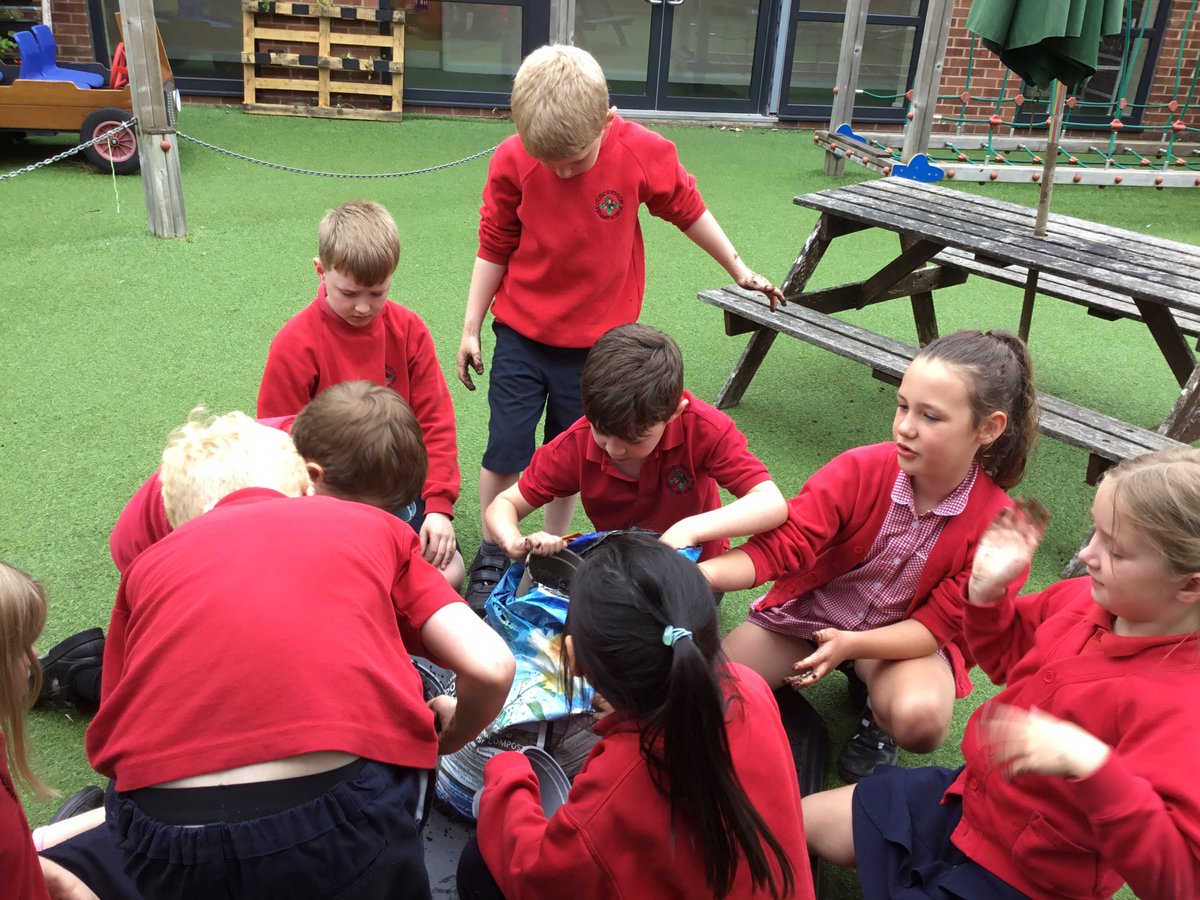 CuddingtonPri's tweet photo. It was our final gardening club this afternoon. The children planted mixed salad seeds to eat at home, along with their tomatoes and herbs. #cuddingtoneco #cuddingtonscience @createlearning_ @EcoSchools @RHSSchools https://t.co/0aEDBcV8qQ