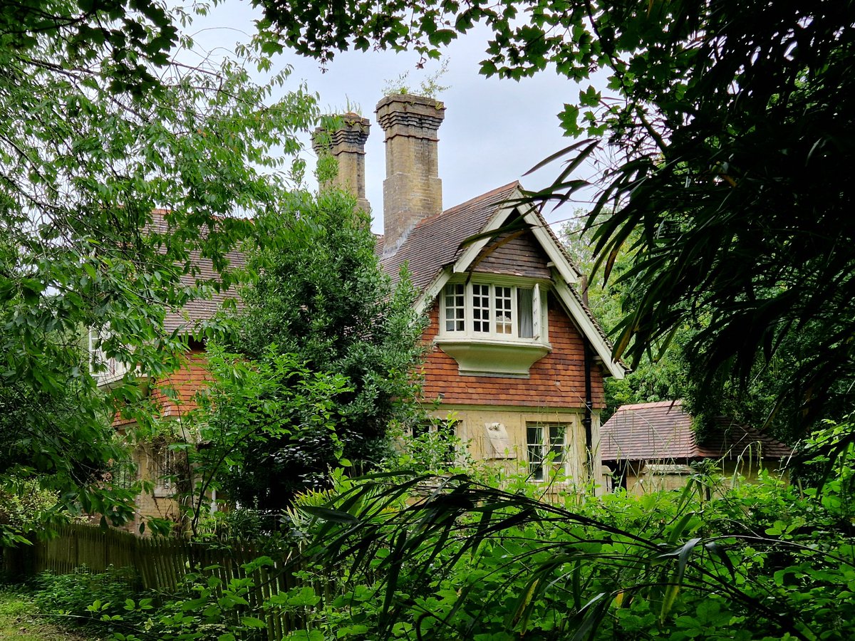 Dr David Martin tweet media