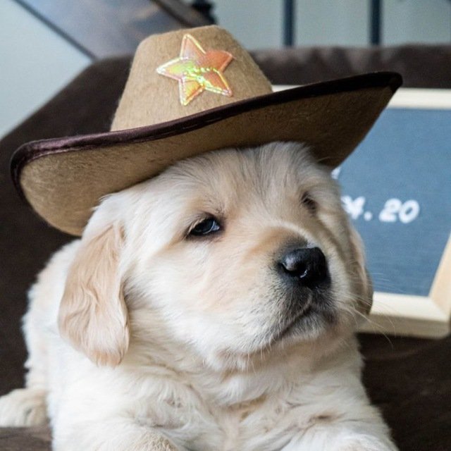 @rovercrc $TEX is ready for Breakout, Have you check this out?