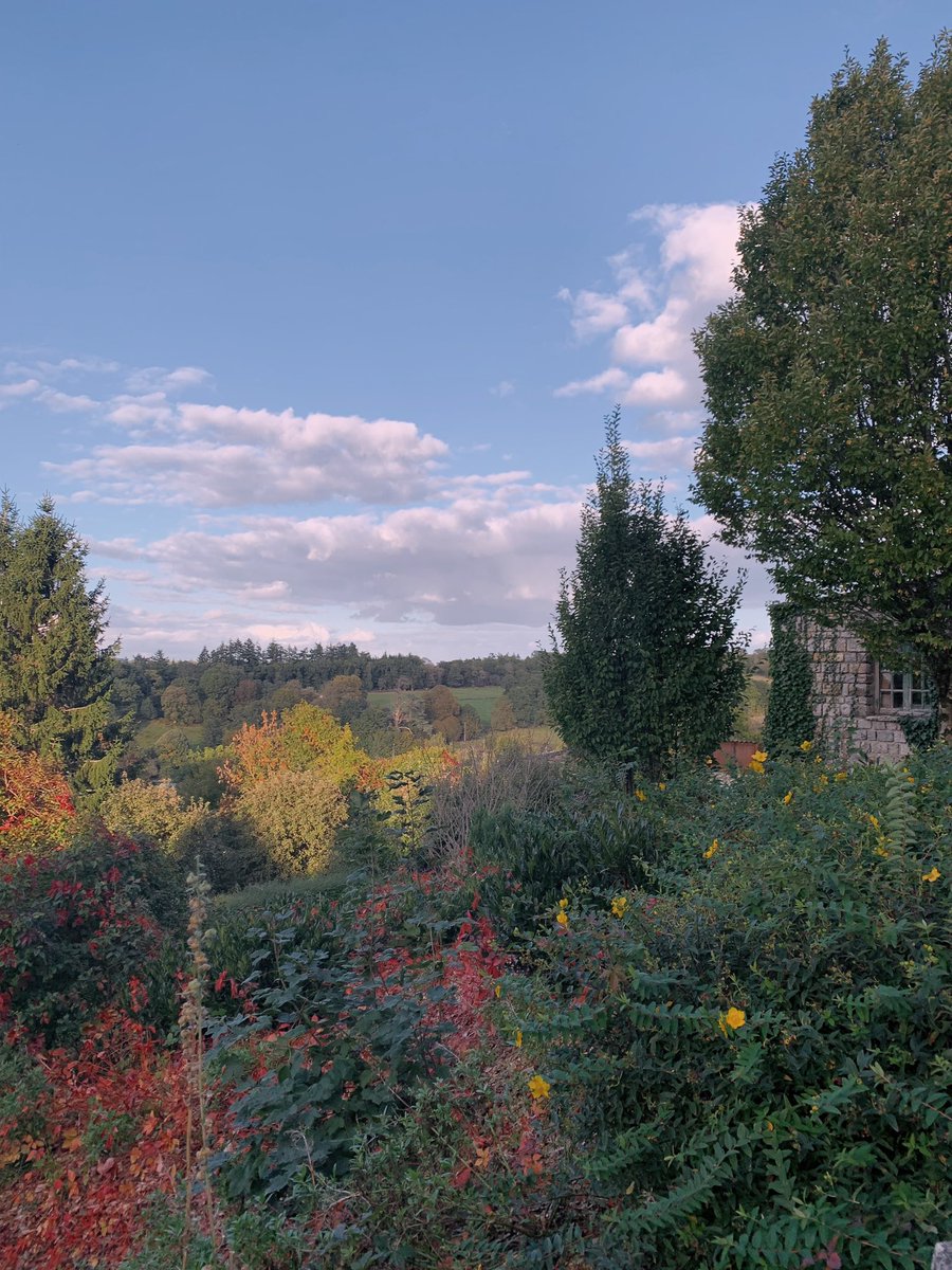 🇫🇷 Una nueva pareja busca casa en Domfront-en-Poiraie, un pequeño pueblo de la Normandía rural. 

Creen que han encontrado una donde comenzar de nuevo. Pactan una visita con la inmobiliaria. 

Pero una llamada lo cambia todo… 🧵👇🏻