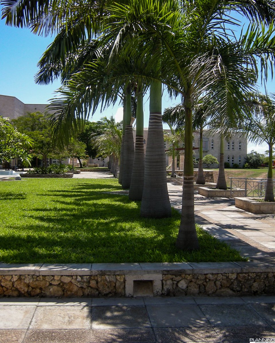 Creating spaces where life unfolds divinely. Tailored designs reflecting your vision and values, crafted to grow, and adapt with you. PLANNING works to blend innovation with tradition, aesthetics with practicality, and sustainability with luxury. #Design #QualityofLife #Wellbeing