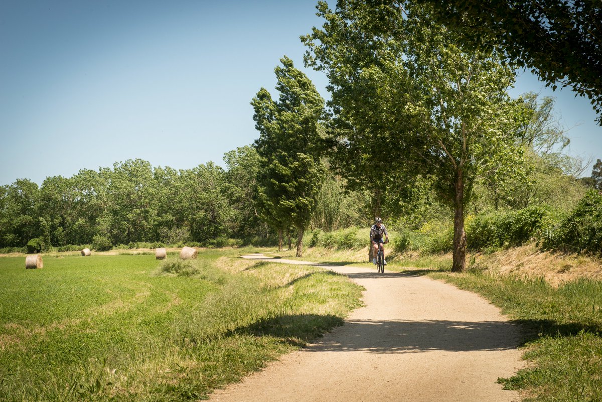 🚶‍♂️ Coneixes la via verda del Tren Petit? 🚂

🌿 Explora una ruta encantadora de 6 km de Palamós a Palafrugell seguint l'antic traçat del tren!

👉Més informació a shorturl.at/NlOZq

#ViesVerdesGi #TrenPetit <a href="/DiputacioGirona/">Diputació de Girona</a> <a href="/ajpalafrugell/">Ajunt. Palafrugell</a> <a href="/AjPalamos/">Ajuntament de Palamós</a> <a href="/ccbaixemporda/">Consell Comarcal del Baix Empordà</a>