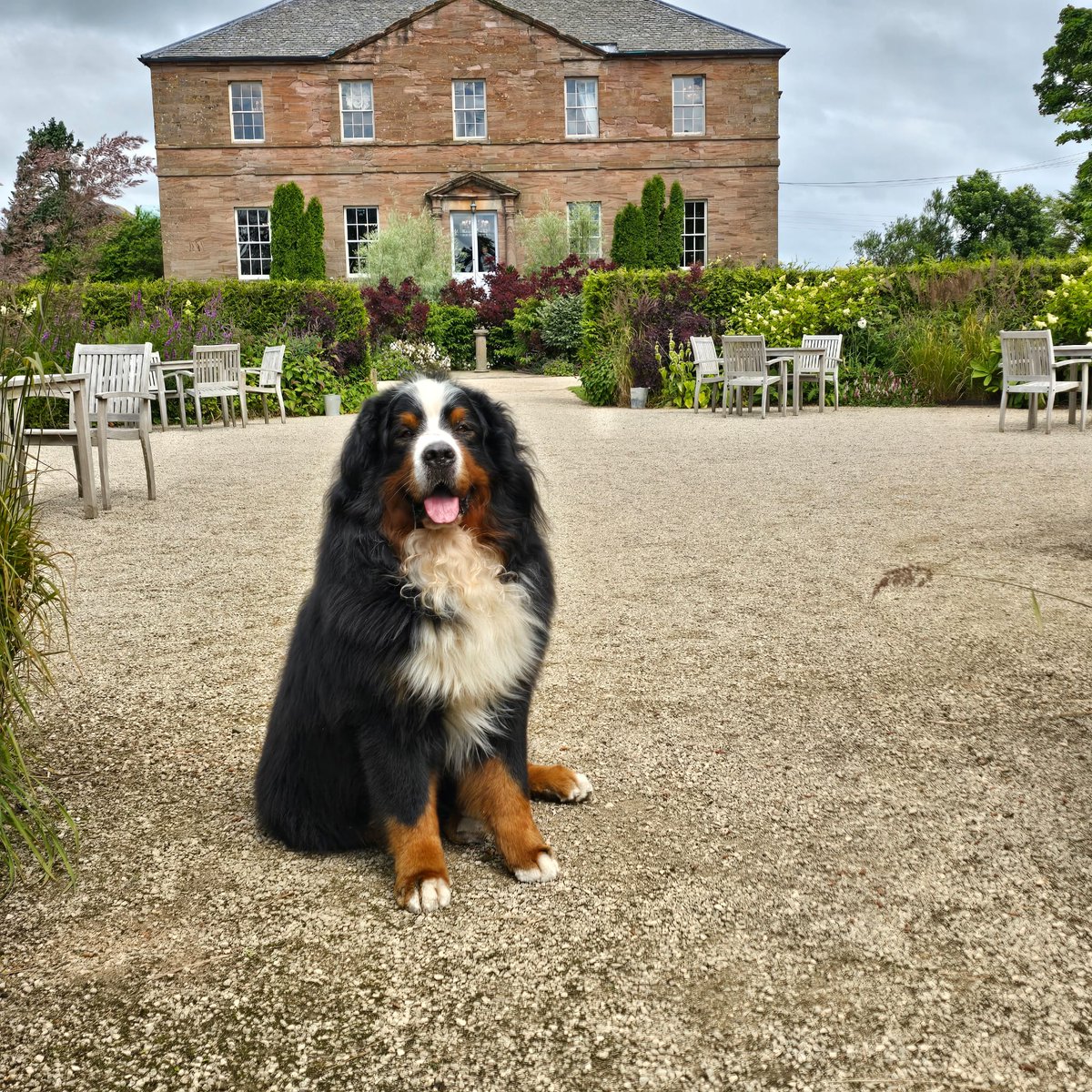 Edwards Cleaning tweet media