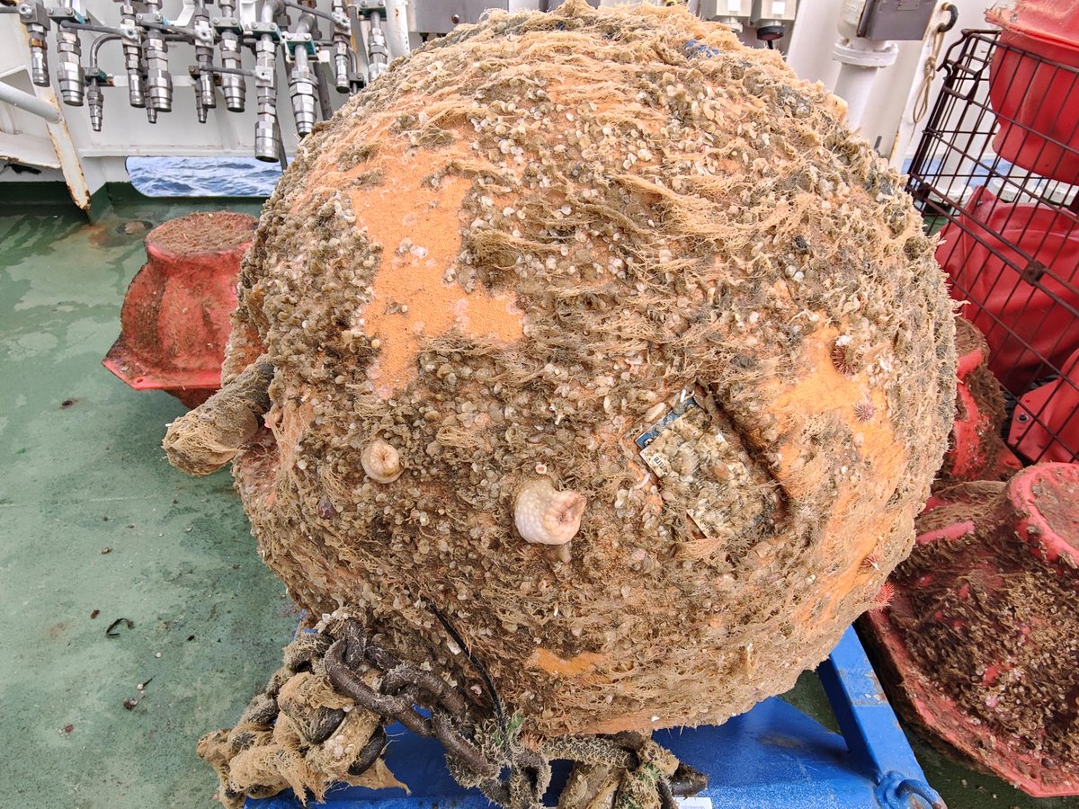 Charlotte Marris (she/her) tweet media