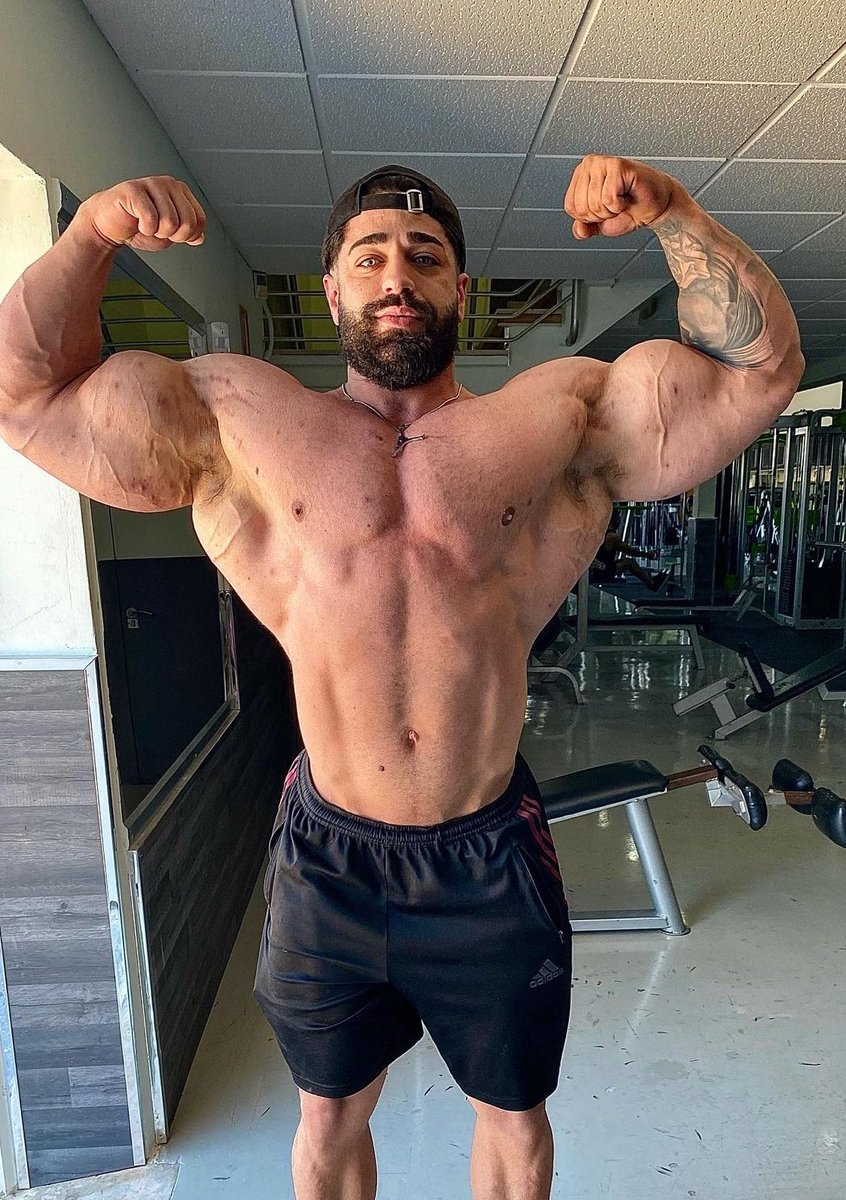 MuscleJacking's tweet photo. Muscle bull, Joaquín Galán 🇪🇸 https://t.co/1VRoKioV3U