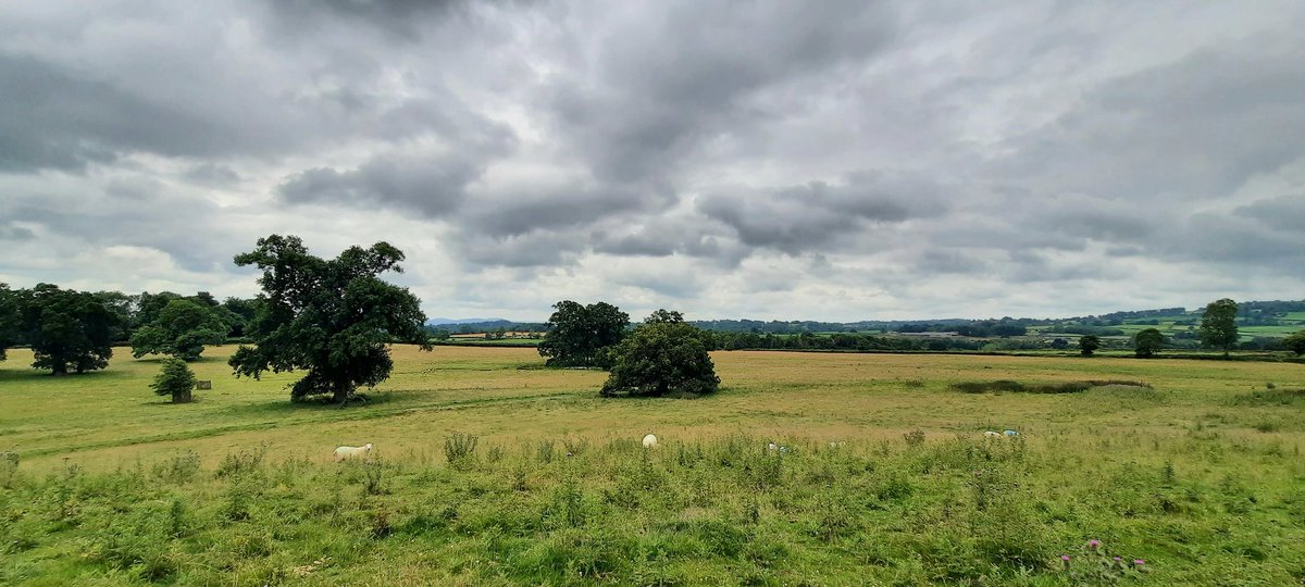 WNapBaukema's tweet photo. Morning walk, in de velden van #Shropshire, heel langzaam breekt de bewolking. #publicfootpath #natuur #zomer #mooieluchten https://t.co/h6CUiIC4JW