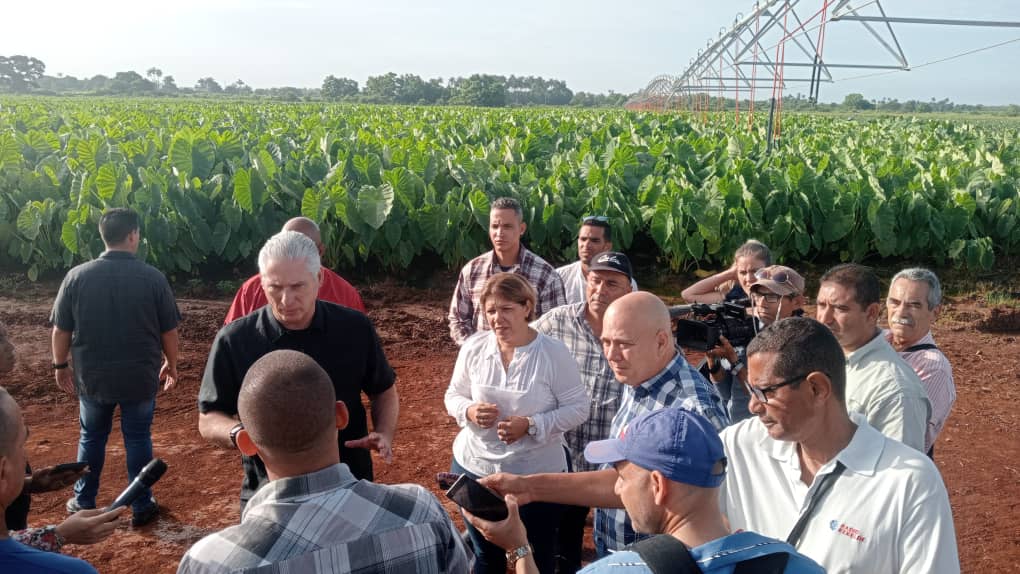 Hacer bien para lograr resultados, en la medida en que tengamos más producción, podremos seguir bajando los precios 
#GenteQueSuman 
#EstaEsLaRevolución 
#YoSigoAMíPresidente