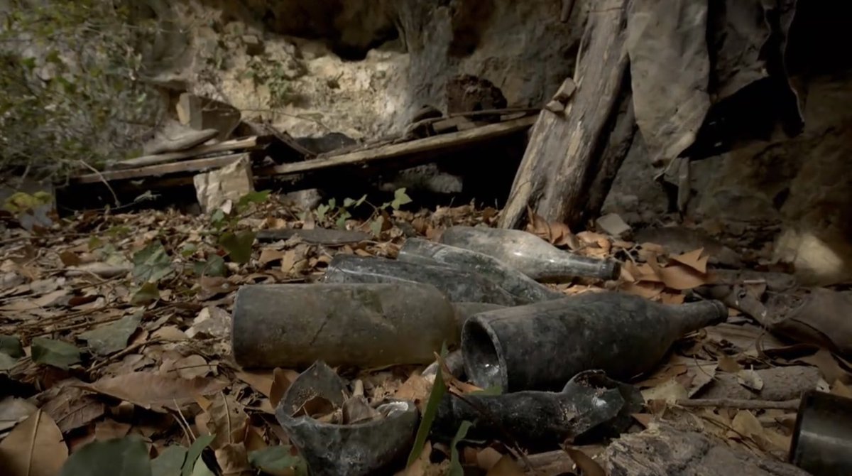 De cómo la historia de Segundo Bores, un maqui que vivió hasta el año 1944 en la cueva de Liébana (Cantabria), conecta con una historia que mi abuelo me contó antes de morir ocurrida en las montañas del interior de Alicante. Si quieres conocerla, entra en el hilo👉🏼🧵.