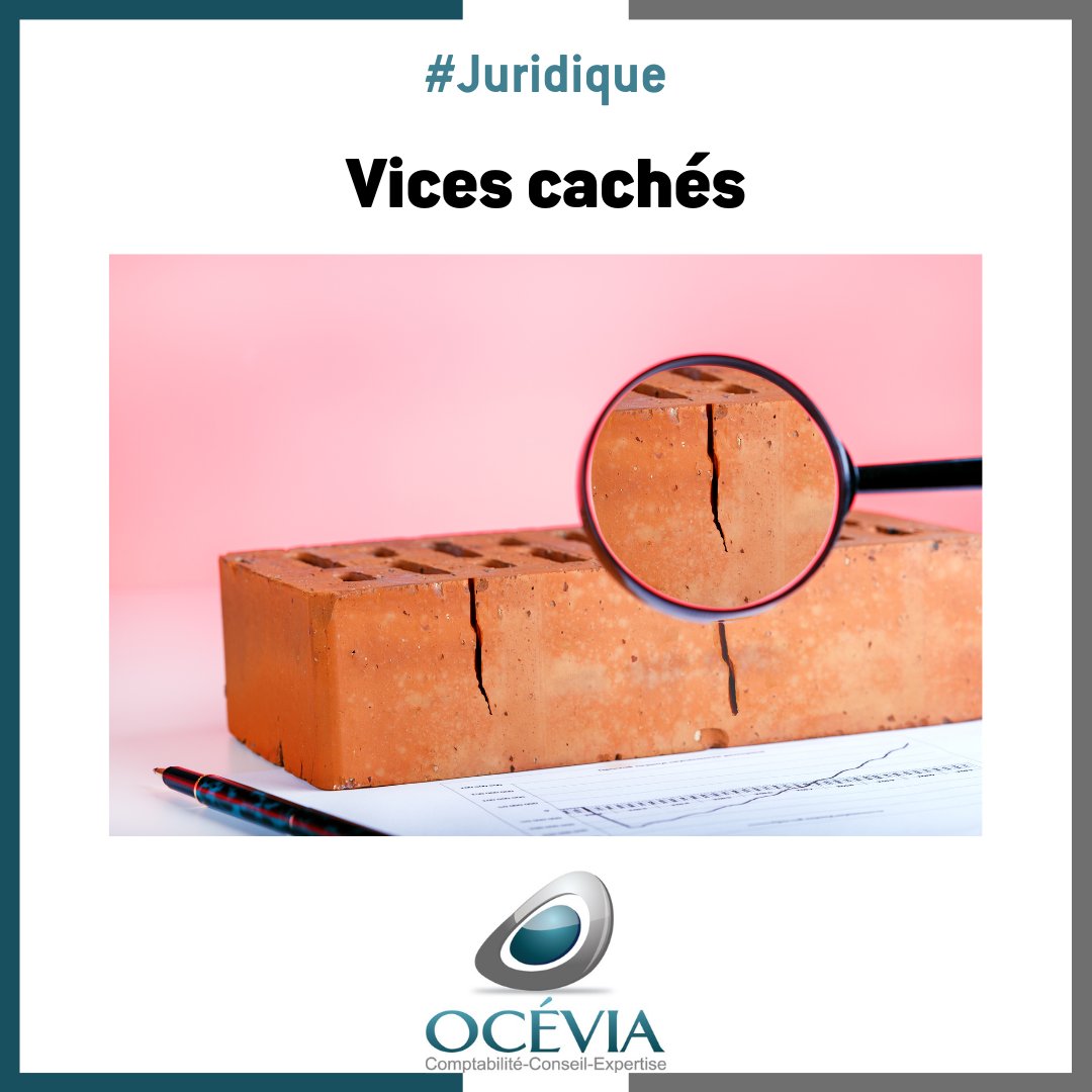 OCEVIA tweet media