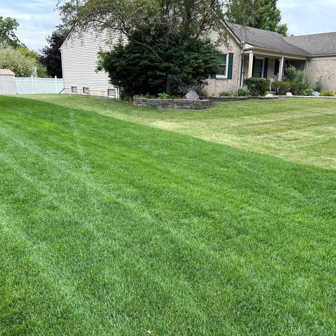 HarrellsLLC's tweet photo. Photo submitted by Director of Agronomy Dr. Paul Giordano showcasing a yard treated with POLYON® vs. a yard with no POLYON.
The #POLYONdifference is real 💪
Contact your Harrell's Rep if you want to learn more
#polyon #harrells #lawn #lawncare #lawnmaintenance #freshcutlawn https://t.co/Fi5S6AIYfS