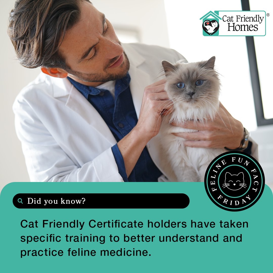 CatVets's tweet photo. As your search for a veterinary practice continues, look for ones with individuals who have earned a Cat Friendly Certificate. They have taken training to understand cats and practice feline medicine. Learn more at https://t.co/Em0iPwgZxA. 

#FelineFunFactFriday #CatFriendlyHomes https://t.co/GMYTiRLkya
