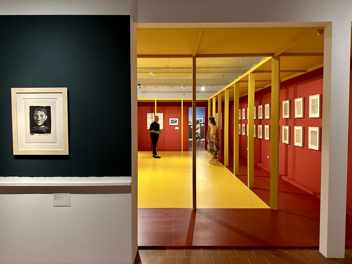 Museo Casa Natal Picasso tweet media