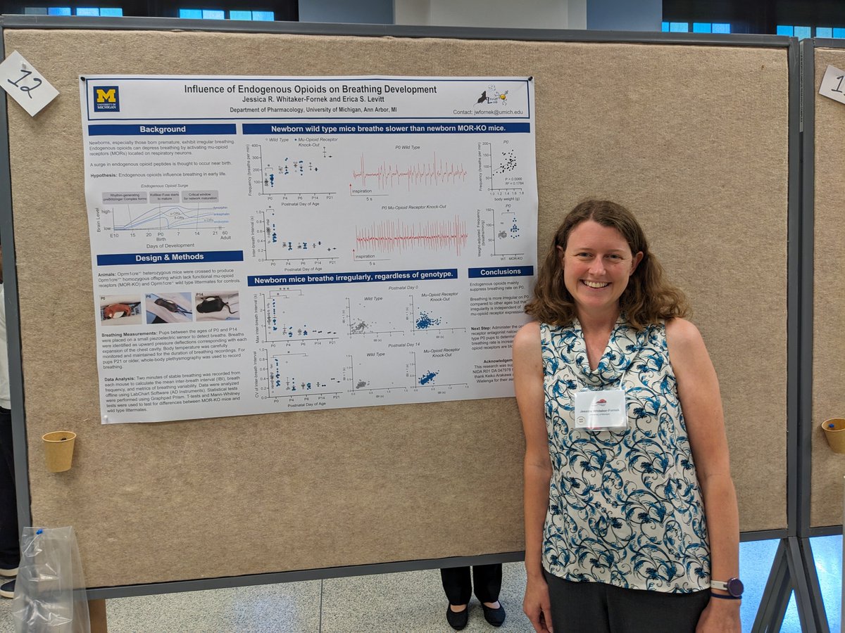 Dr. Jessica Whitaker-Fornek tweet media