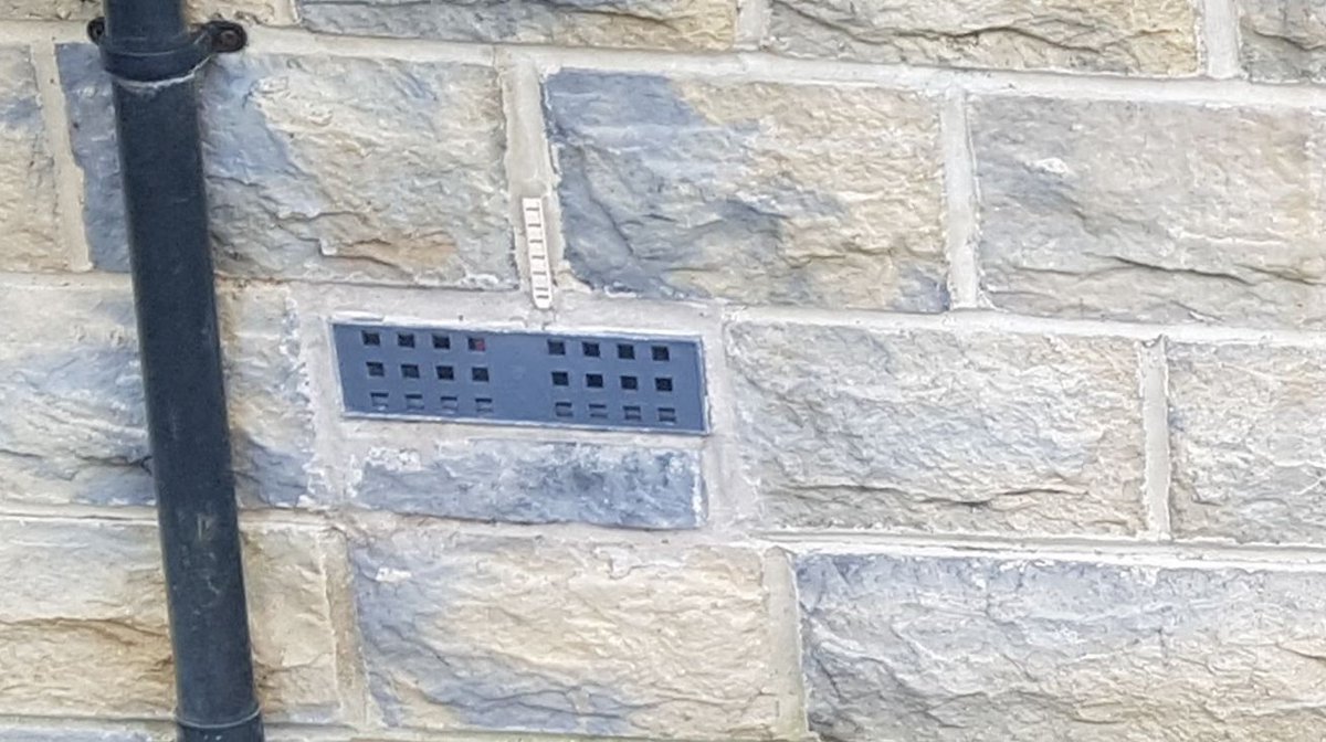 Mary Long-Dhonau OBE tweet media