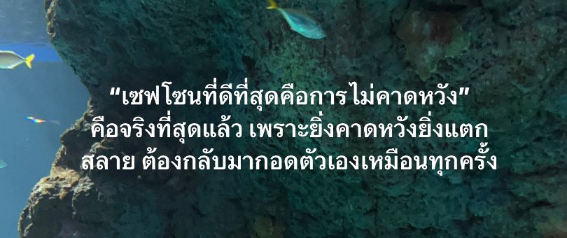 小 tweet media