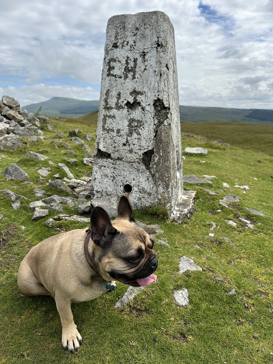 welshadventura's tweet photo. Trig point at Cribarth mountain. Left for dust by my pal! #hikinginwales #cribarth #trig https://t.co/G6vrNSaxPw
