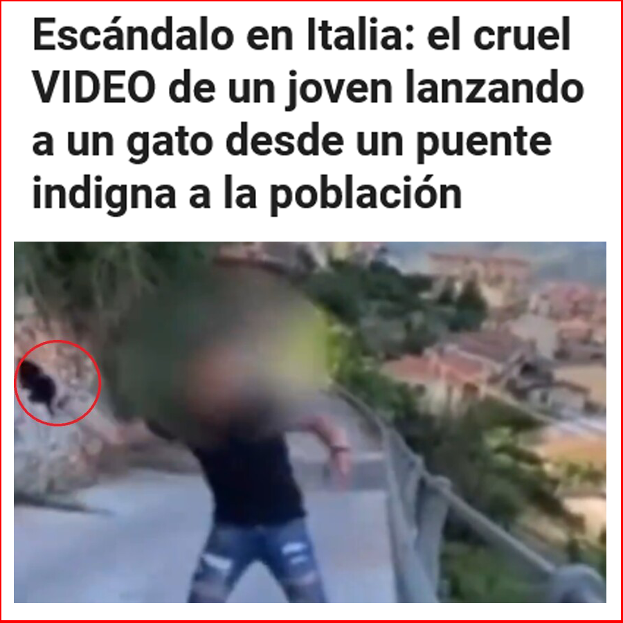 ruben_prz's tweet photo. Siglo XXI compartiendo planeta con esta escoria 👇🏻 https://t.co/IMhIhLABm7