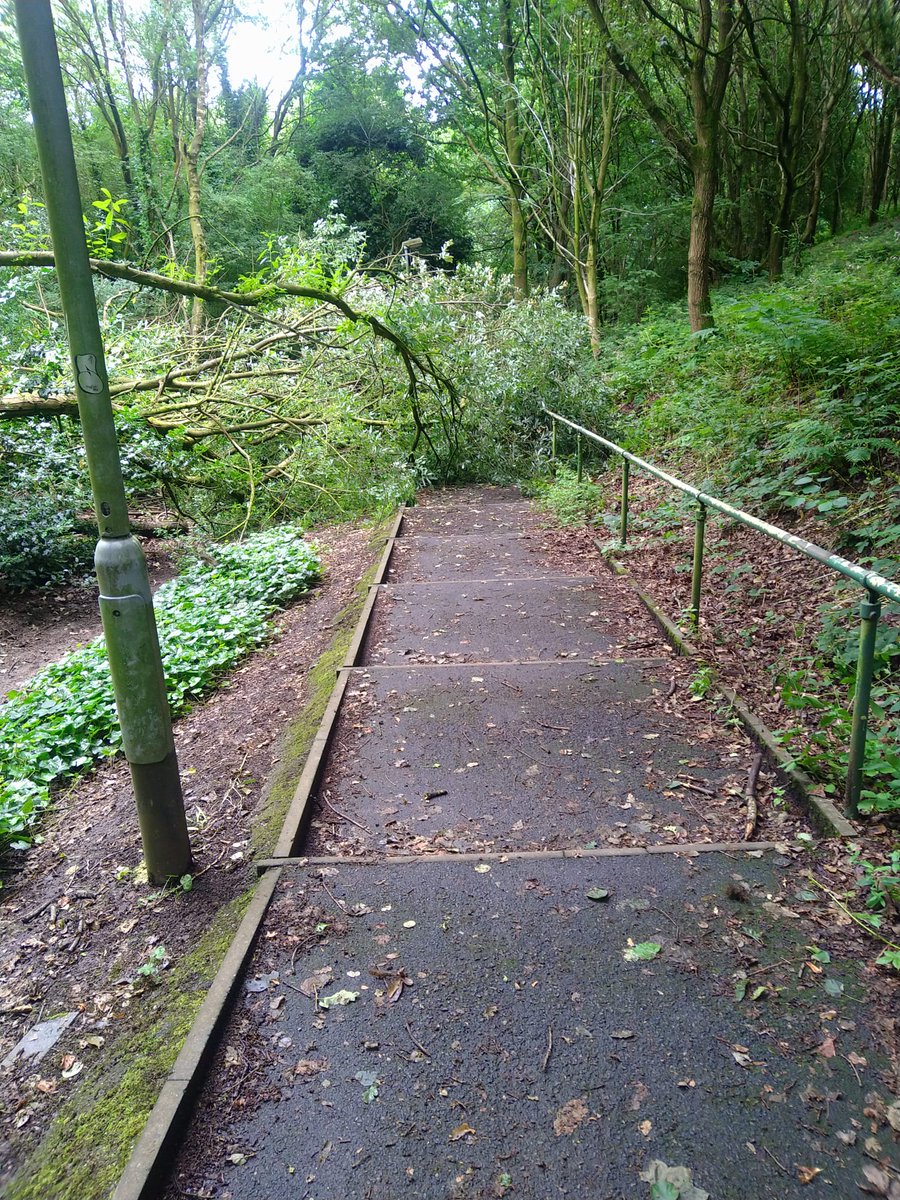 BassettCycle's tweet photo. @NewsNBC @StaffordshireCC Please can you look in to clearing the steps, ST5 8LE Chatterley Close, by Bradwell Crematorium. A well used path from Bradwell to Westport Lake area. https://t.co/TVdgjdBpw9