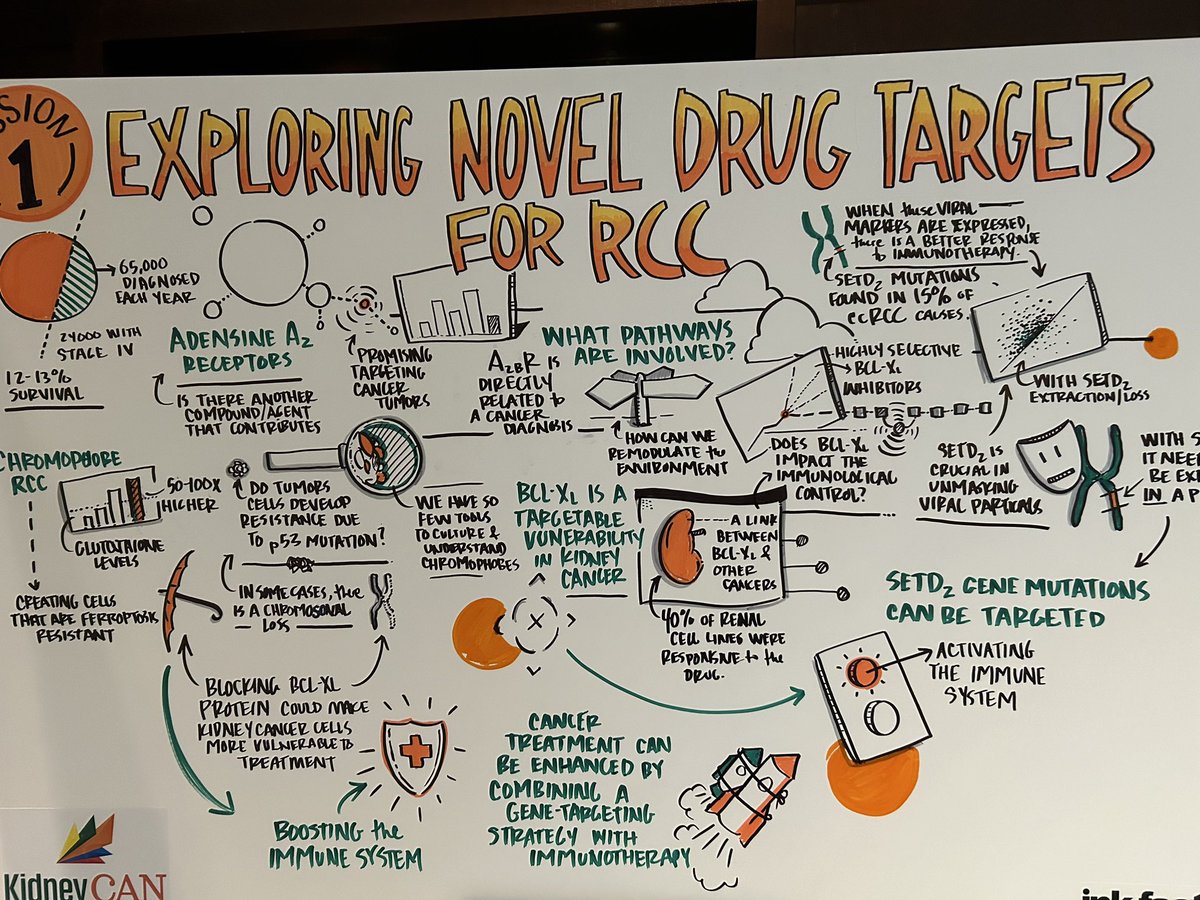 MikeSerzanMD's tweet photo. ⭐️ KCRS DAY #1 ⭐️ 

1️⃣ Exploring Novel Drug Targets 

2️⃣ Novel Imaging and Biomarkers 

3️⃣State of the Science Pathology 

4️⃣ Trials in Progress 

#KCRS24 @OncoAlert https://t.co/8RMGRsQMmv