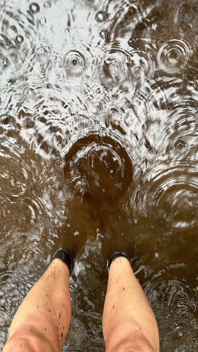 Lekker rondje #Mastbos #Breda tijdens #zomer verlof…