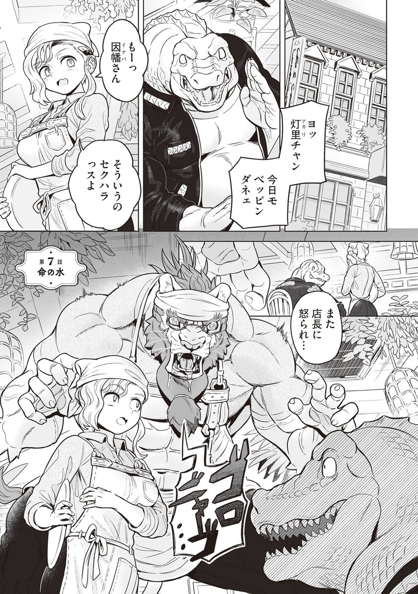 (1/2) 