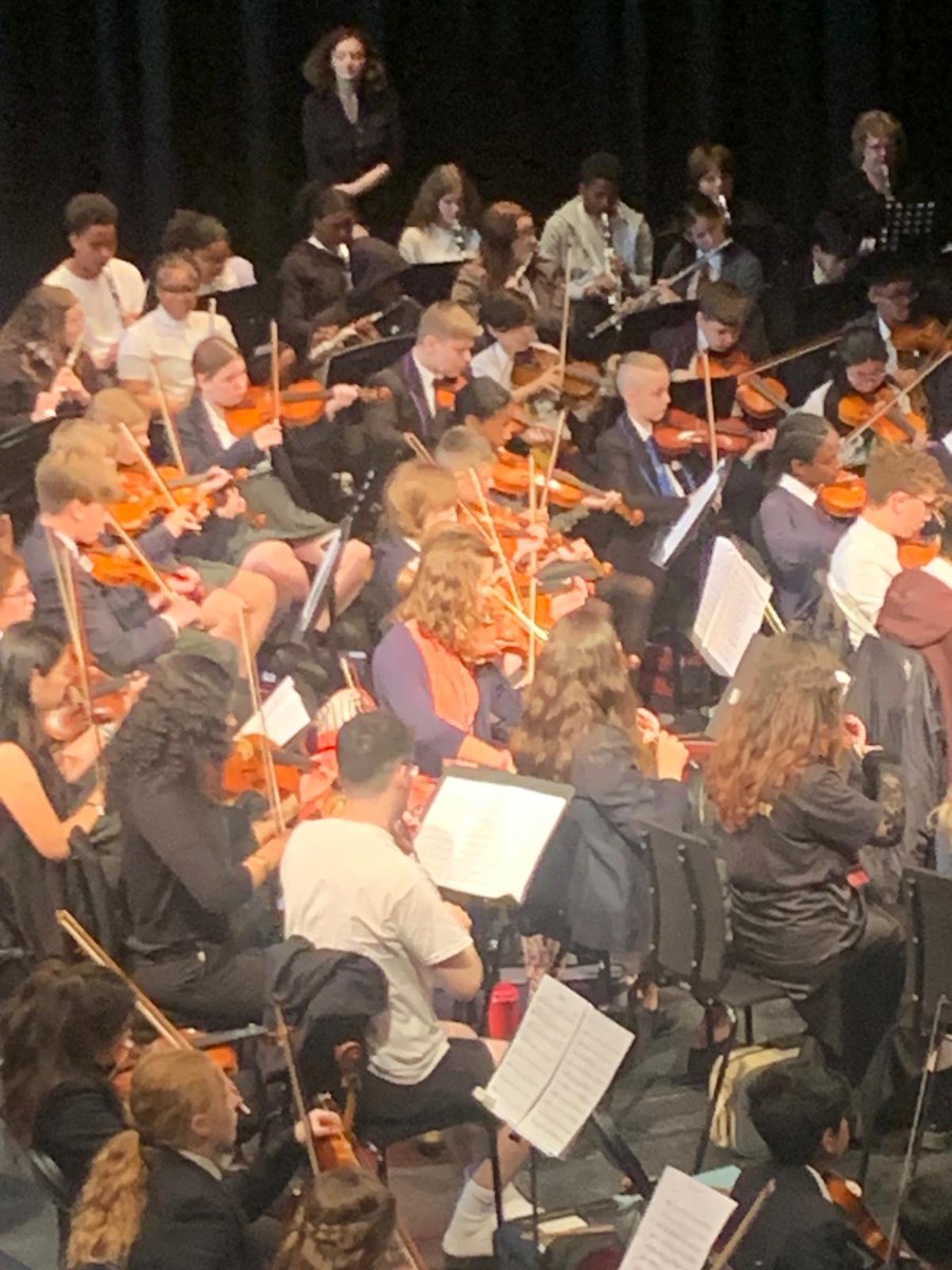 Amazing experience, students have been brilliant!