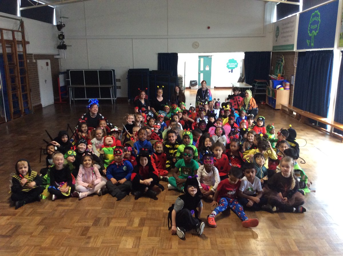 EYFS annual minibeast ball