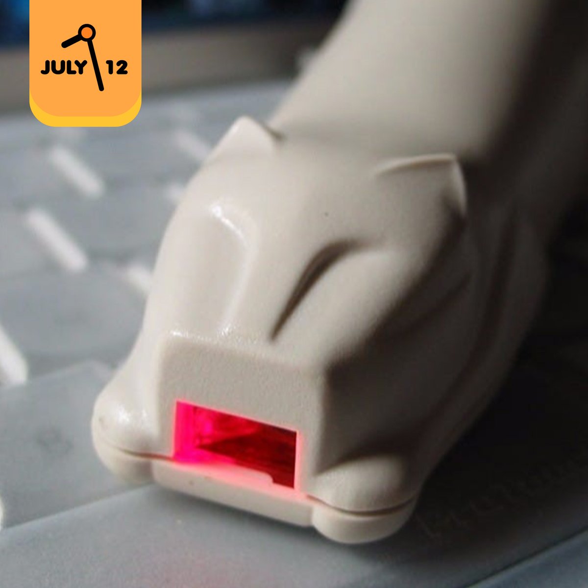 Morning Somewhere tweet media