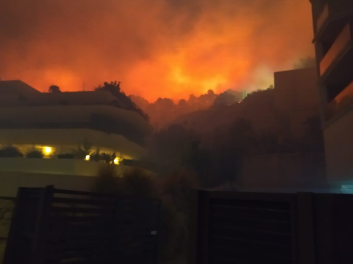 Ferran Dalmau - Rovira tweet media