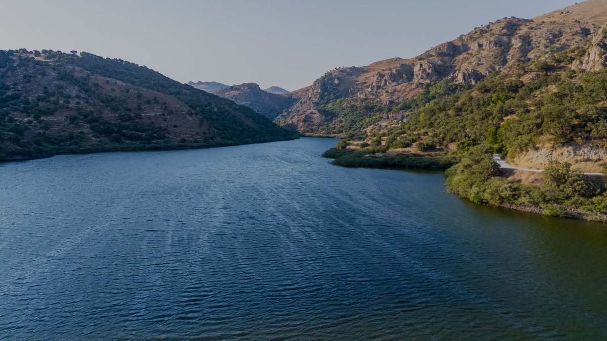 Chris Greenfield. tweet media