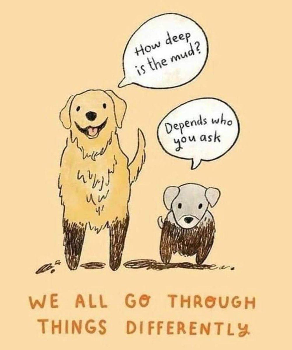 Everyone's path is different, and what you see on the surface rarely tells the full story. 

fettle.ie

#Psychotherapy #MentalHealth #Wellbeing #Therapy #Psychology #SelfLove #SelfCompassion #Mindfulness #CelebrateYou #UniqueJourney #SelfCare #PositiveVibes