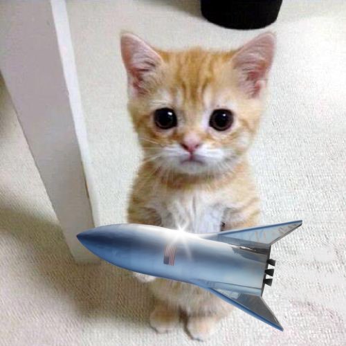 paper hands out, chads in &amp; buyback coming. resume the pump.