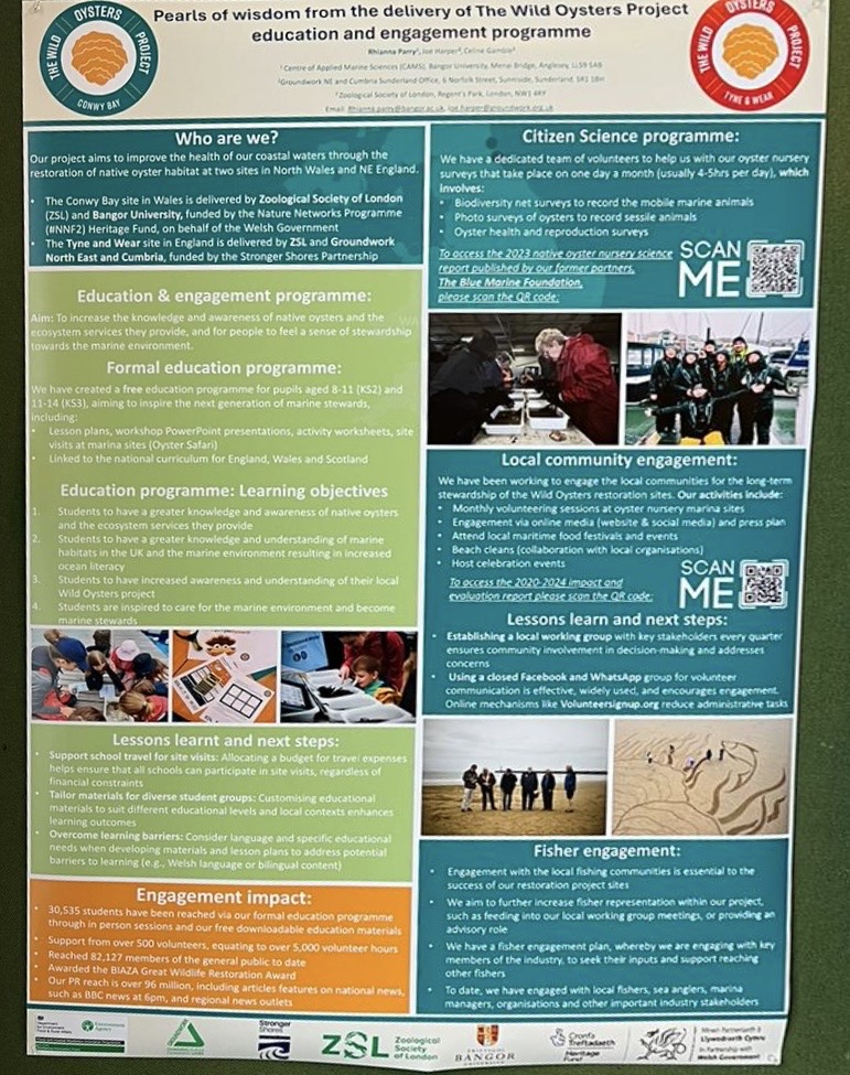 Fantastic poster session at #ReMeMaRe24! Rhi from #ConwyBay and Joe from #TyneAndWear #WildOysters sites did a brilliant job presenting a poster about our education and engagement programme 🦪

For more info, check out our Impact &amp; Evaluation report 👉 wild-oysters.org/download/391/?…