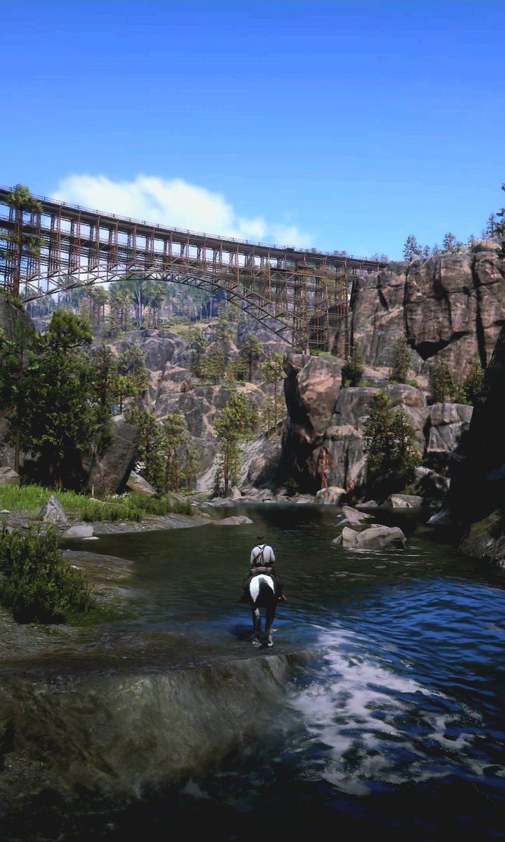 Keng_console's tweet photo. Red Dead Redemption2 📸 https://t.co/NdTgBILrNK