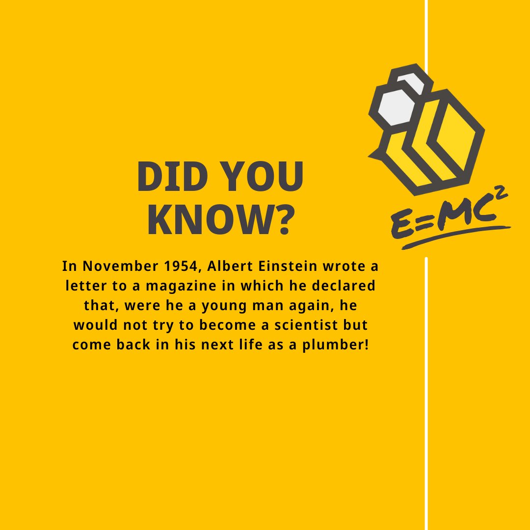 Bumblebeeheat's tweet image. Happy Friday Funday! If Einstein is reincarnated anytime soon, he can have a job with the Bumblebee team 🐝🤣

#PlumbingFacts #WhichTrustedTraders