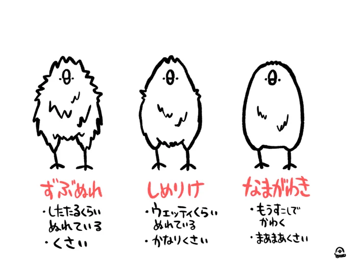 段階別 濡れバード
