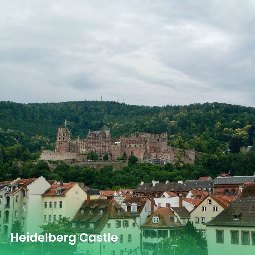 How would you like to step into a real-life Disney fairytale? 

Discover these must-see enchanting castles in Germany! 🏰 ✨ 

From the magical Neuschwanstein to the medieval Burg Eltz, these castles will transport you to another world.