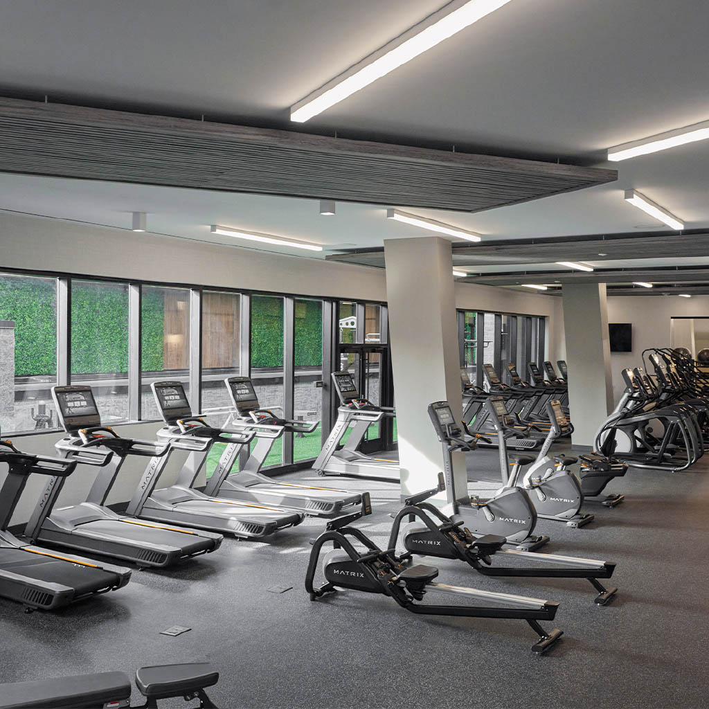 Matrix Fitness España Portugal tweet media