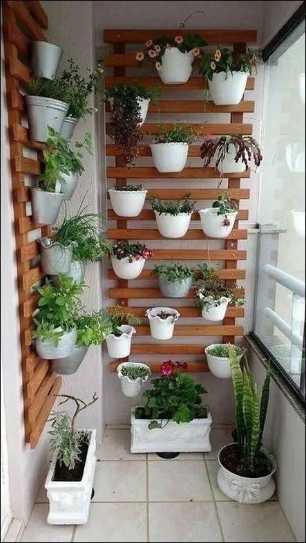 Así quedó mi balcón 🪴♻️🌿