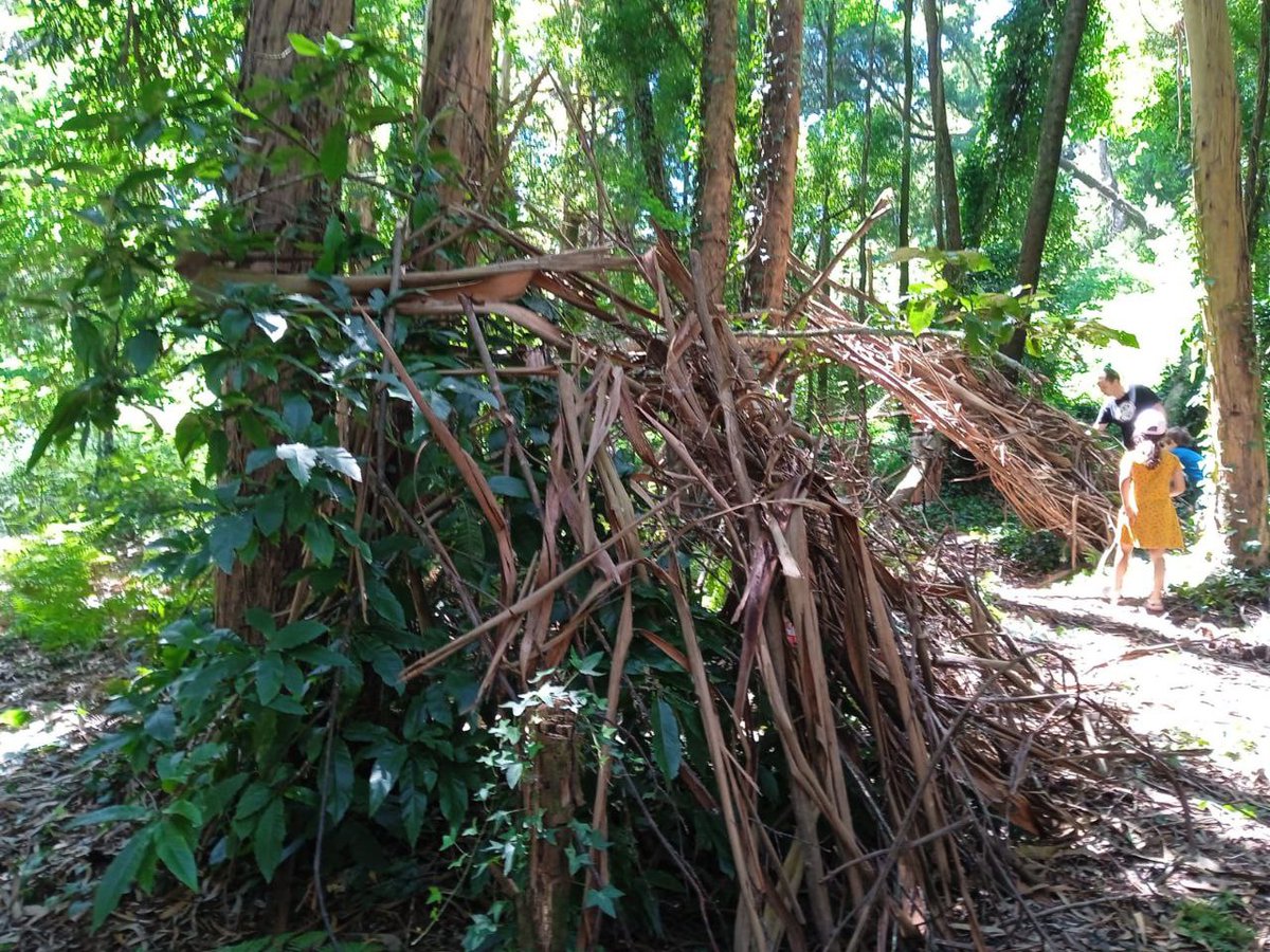 SementeVigo's tweet photo. No monte da Guia está muitos dias a ensaiar o amigo gaiteiro Pio, e no val brincamos a fazer uma nova cabana🛖(com trave de castinheiro, como na constr tradicional, q caiu co vento😰), cozinhamos em pedras-forno🔥 e brincamos co q nos rodeia🥰

#EscolasSemente #Galego #Vigo #Teis https://t.co/SlB4Axn5Lg